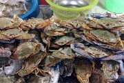 廣州旅游美食攻略，廣州旅游美食攻略，品味嶺南風(fēng)味，暢游南國(guó)風(fēng)情之城