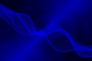 火石插件網(wǎng)站的發(fā)展歷程與未來展望，火石插件，網(wǎng)站發(fā)展之路及未來展望