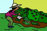 探索漫畫愛好者的樂園——漫畫插件網(wǎng)站深度解析