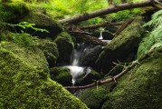 夢幻黑風山攻略，夢幻黑風山攻略