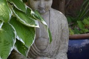 揭秘問道內(nèi)功心法與招式——淺談問佛這一特殊策略，問答中的內(nèi)功心法與招式，揭秘問佛的獨特策略