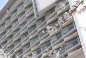 同濟(jì)大學(xué)招生辦電話_上海同濟(jì)大學(xué)招生辦電話