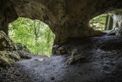 千年狐貍洞攻略，神秘之旅的探索與發(fā)現(xiàn)