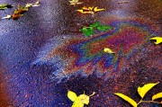 深海養(yǎng)魚游戲攻略，深度養(yǎng)魚，一圖帶你輕松掌握各種技巧和策略