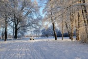 冰雪奇緣游戲攻略，輕松玩轉(zhuǎn)冰雪奇緣，新手入門指南及策略分享