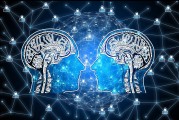 流量使用的最多的小說網站揭秘，網絡小說的江湖風云