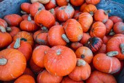 一品紅月，橙光游戲的深度攻略