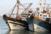 科學(xué)島釣魚游戲攻略，科學(xué)島釣魚游戲深度解析，策略與技巧分享