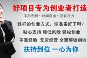 代理項目做什么賺錢(代理項目做什么賺錢呢)