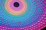 無錫靈山大佛攻略