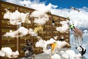 暖暖韓國(guó)攻略——探索韓風(fēng)之旅的秘密