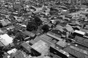 深度解讀美國(guó)回國(guó)攻略游戲，玩轉(zhuǎn)美國(guó)，如何通過(guò)深度解讀策略回家的攻略