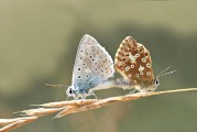 浮生若夢的游戲攻略，掌控命運(yùn)，一款浮生若夢游戲的深度解析與實(shí)戰(zhàn)策略