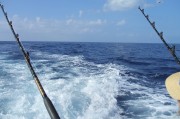 坑爹游戲，釣魚攻略，深海釣魚攻略，如何在坑爹游戲中撈取滿載而歸的金幣和經(jīng)驗