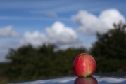 一、引言，探討人工智能在醫(yī)療領(lǐng)域的應(yīng)用，當前現(xiàn)狀與未來展望