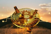 蔚藍攻略，探索成功之路的航海圖，蔚藍攻略，成功之路的航海圖