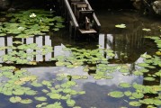 搭建池塘網(wǎng)站，打造個(gè)性化生態(tài)家園的實(shí)用指南，個(gè)性化生態(tài)家園，搭建池塘網(wǎng)站全攻略，個(gè)性化生態(tài)家園網(wǎng)站搭建攻略，打造您的池塘生態(tài)平臺(tái)