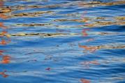 流量浪潮席卷而來，網(wǎng)站如何乘風(fēng)破浪？，乘風(fēng)破浪，網(wǎng)站如何應(yīng)對(duì)流量浪潮挑戰(zhàn)
