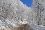 攀登高峰，攻略高嶺之花，攀登高峰，攻略高嶺之花的挑戰(zhàn)與探索
