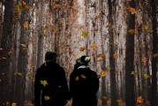 達(dá)芬奇密室攻略，解密探險的指引，達(dá)芬奇密室探險攻略，解密之旅的指引