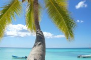 海灘游戲攻略_2019最新海灘游戲
