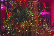 結(jié)婚婚宴游戲攻略，打造一場(chǎng)難忘的婚禮儀式，巧妙策劃，如何舉辦一場(chǎng)別開(kāi)生面的婚禮游戲攻略