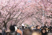 日本自由行旅游攻略，日本自由行旅游攻略