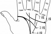 手相星座運(yùn)勢(手相運(yùn)氣年齡段分析圖)
