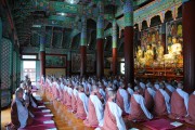 皇后攻略，宮廷生存與權(quán)力策略，皇后攻略，宮廷生存與權(quán)力策略