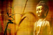 慈心渡鬼下棋攻略，慈心渡鬼下棋攻略，輕松掌握棋局秘籍