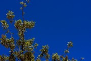 天空網(wǎng)頁(yè)游戲_天空手游官網(wǎng)