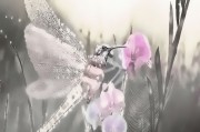 想不想修真，洗髓池攻略全解析，想不想修真，洗髓池攻略全解析