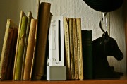 解密書收納游戲攻略，帶你輕松打理書籍的樂園