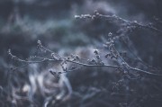 活色生香——一款讓你如癡如醉的游戲攻略，帶你領(lǐng)略活色生香的魅力，極致游戲體驗的指南