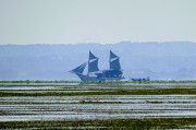 雙子島攻略，雙子島探險(xiǎn)攻略