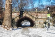 國(guó)外莊園游戲攻略，國(guó)際莊園，打造你的夢(mèng)幻生活之島