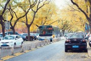 北京路游戲攻略，帶你領(lǐng)略城市中的繁華與魅力，北京路游記，感受城市的繁華與魅力