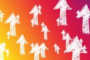 庇護(hù)所攻略，生存與安全的智慧