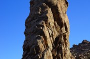 九重塔攻略，步步為營(yíng)，挑戰(zhàn)巔峰，九重塔挑戰(zhàn)攻略，步步為營(yíng)，攀登巔峰