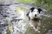湯姆貓水上樂園攻略，暢游樂園，快樂無邊界，湯姆貓水上樂園攻略，暢游樂園，快樂無邊界