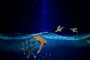公主戀人攻略，解鎖浪漫之旅的秘密指南
