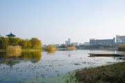 江南大學(xué)本科招生_江南大學(xué)本科招生網(wǎng)公示