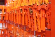 雙11購物攻略，省錢、省心、省時，讓你的購物體驗更上一層樓，雙11購物攻略，省錢、省心、省時，提升你的購物體驗