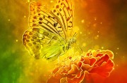 開花游戲攻略_開花游戲攻略圖文