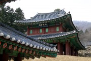 宮心計(jì)攻略，走進(jìn)清朝的世界，揭秘清朝宮廷秘辛，宮心計(jì)的陰謀與策略
