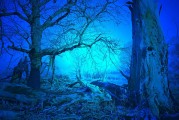無冬之夜攻略指南，探索無冬世界中的神秘奧秘，無冬之夜，探索神秘世界的策略與秘境