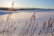 函館攻略，探索北海道之珠的旅行指南，函館探索，北海道之珠的旅行指南
