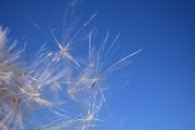 藍色游戲攻略_藍色的游戲中心