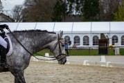 最賤游戲5攻略40關(guān)騎馬——帶你飛越難關(guān)！，騎馬最賤游戲攻略，40關(guān)飛行解鎖所有成就