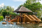 濱江森林公園游玩指南，濱江森林公園全方位游覽指南